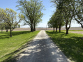 image00015_3.jpeg