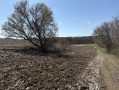 image00016_2.jpeg