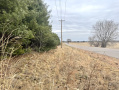 image00018_1.jpeg
