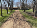 image00019_1.jpeg