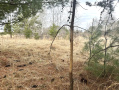 image00019.jpeg