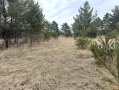 image00020_1.jpeg