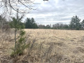 image00021_1.jpeg
