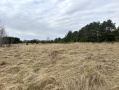 image00022_1.jpeg