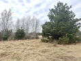 image00023_1.jpeg