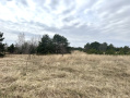 image00024_1.jpeg
