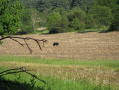 june2010026.JPG