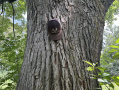 thumbnail_IMG_5459.jpg
