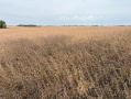 thumbnail_IMG_5651.jpg