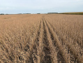 thumbnail_IMG_5652.jpg