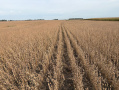 thumbnail_IMG_5653.jpg