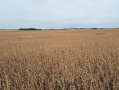 thumbnail_IMG_5654.jpg