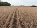 thumbnail_IMG_5655.jpg