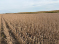 thumbnail_IMG_5658.jpg