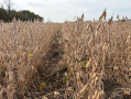 thumbnail_IMG_5659.jpg